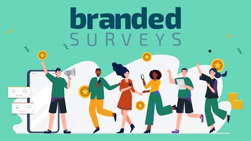 Branded Surveys Cover