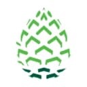 Pinecone Research Logo